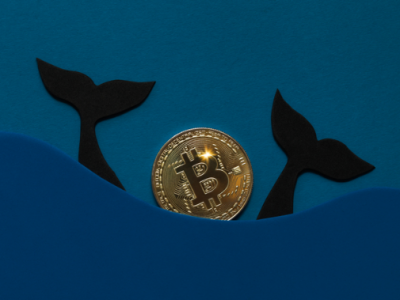 14년 만에 깨어난 사토시 시대 지갑…1,600만 달러어치 BTC 이동, 판매 신호일까 점검일까