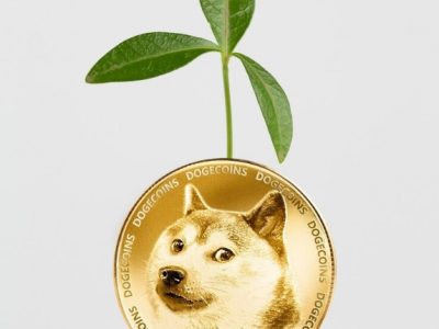 도지코인, 8년 전 ‘대칭 삼각형’ 데자뷔…하락장 속 장기 강세 시나리오 부활