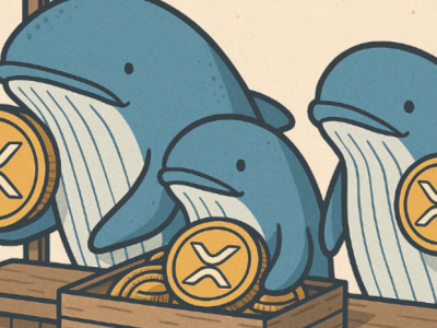XRP, ‘고래 회귀’ 신호…2.25달러 축에서 반등 준비