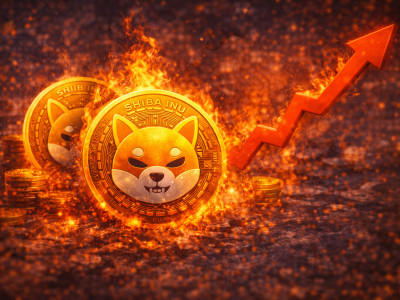 시바이누 소각 급증