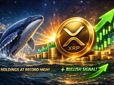 XRP 고래 지분 사상 최대…공급 잠김 현상, 상승 신호 될까