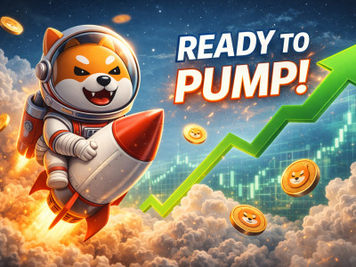 시바이누, 매도 압력 소진 신호 포착…“바닥 구간 형성 단계 진입”